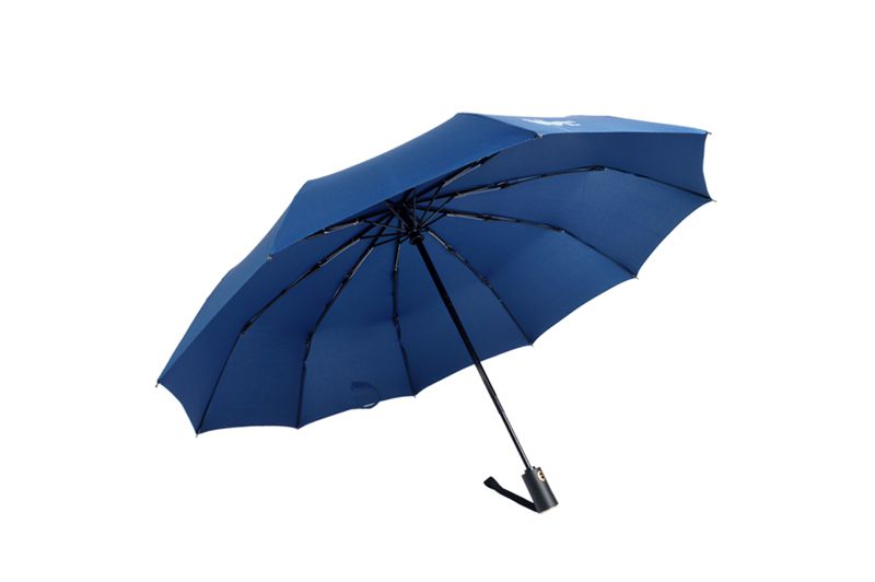 10骨全自动91视频黄色片下载伞 yk-SJZD112