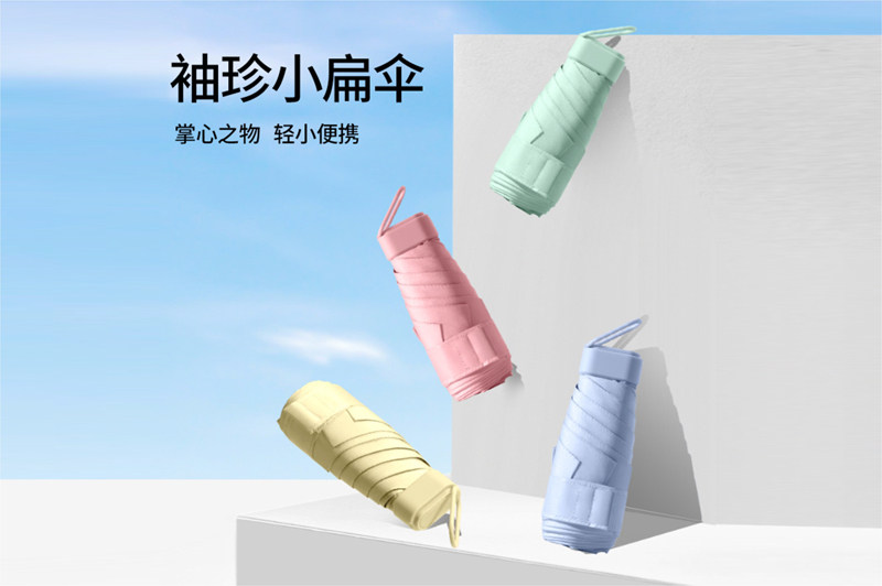 扁六节伞 YK-LJ132