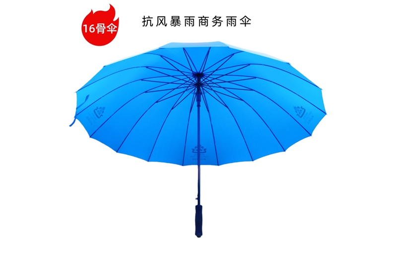 16骨全自动开伞 YK-16K259